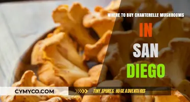 Discover San Diego's Best Spots for Fresh Chanterelle Mushrooms
