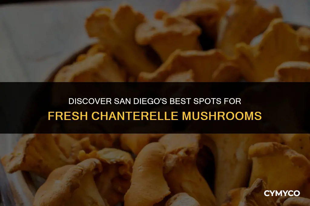 where to buy chanterelle mushrooms in san diego