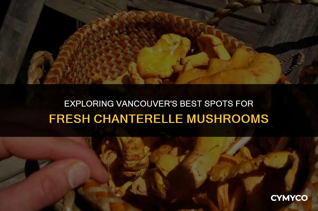 where to buy chanterelle mushrooms vancouver