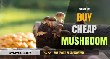 Discover the Best Spots for Affordable Mushrooms: A Comprehensive Guide