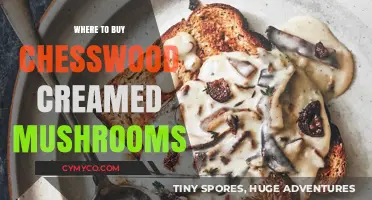 Discover the Best Spots to Buy Chesswood Creamed Mushrooms