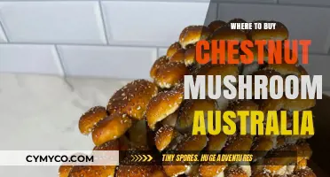 Discover the Best Spots to Buy Chestnut Mushrooms in Australia