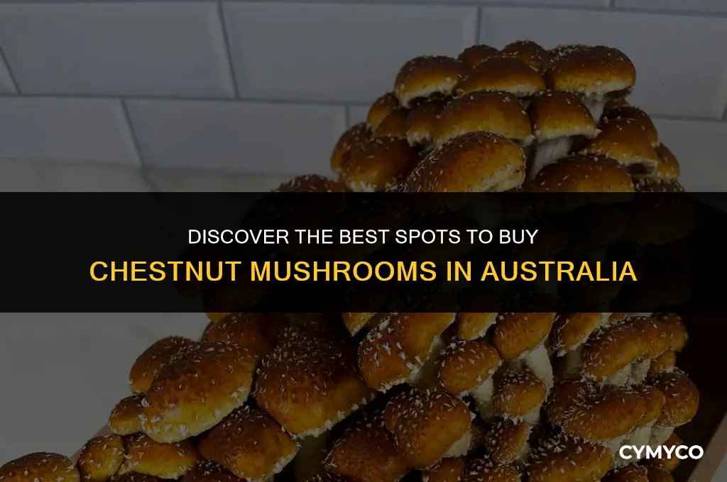 where to buy chestnut mushrooms australia
