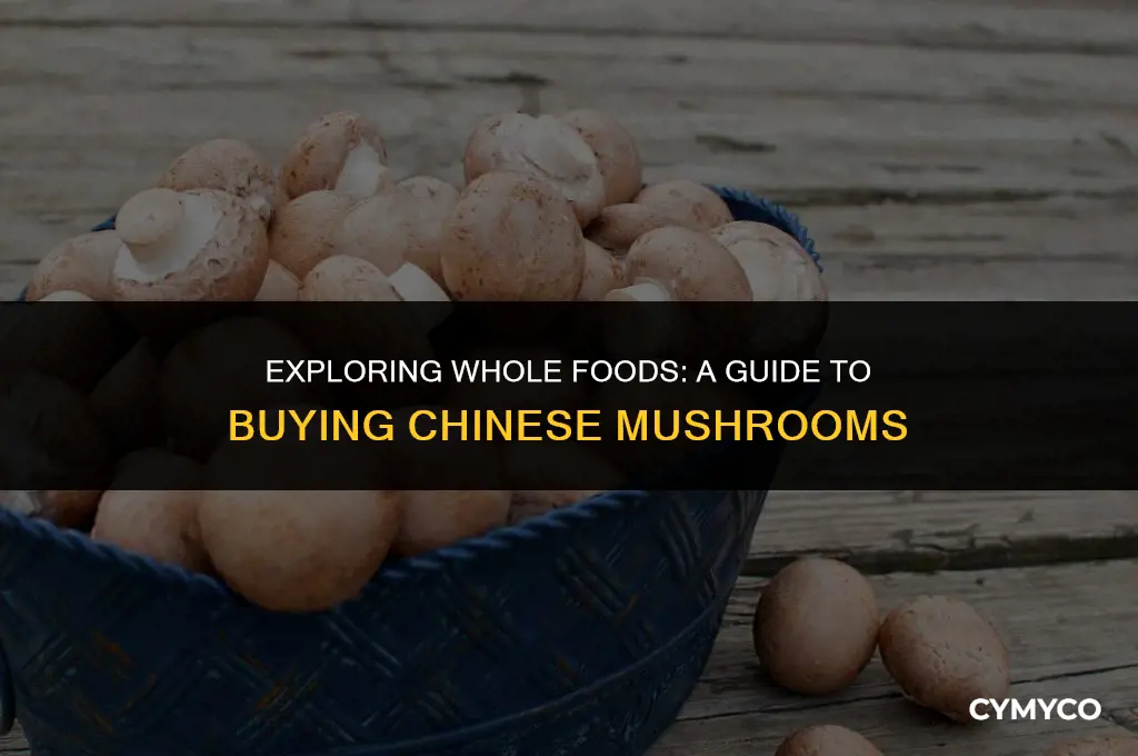 where to buy chinese mushrooms whole foods