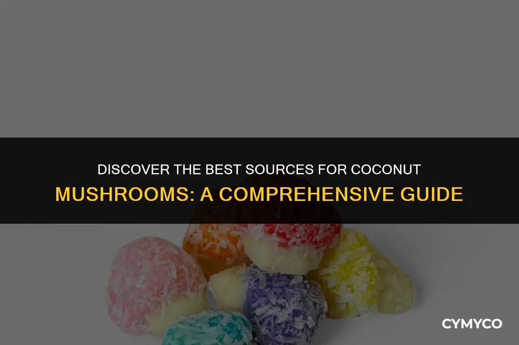 where to buy coconut mushrooms