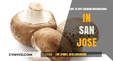 Discover the Best Spots to Buy Cremini Mushrooms in San Jose