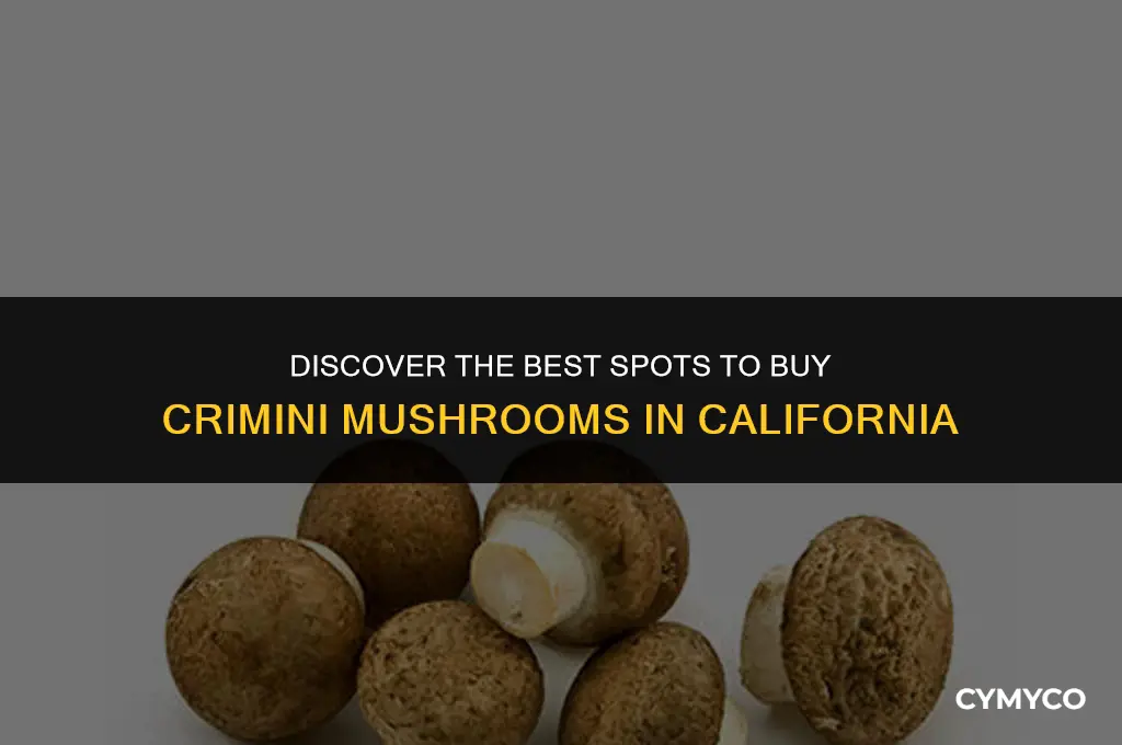 where to buy crimini mushrooms california