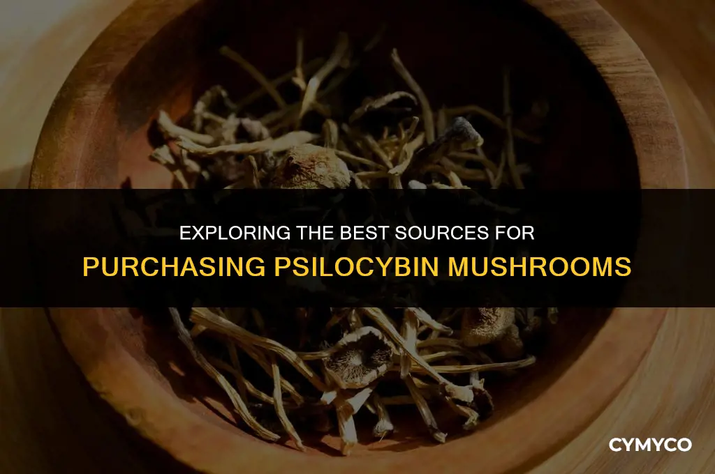 where to buy cylacybin mushrooms