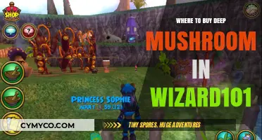 Exploring the Mystical Realm: Where to Find Deep Mushrooms in Wizard101