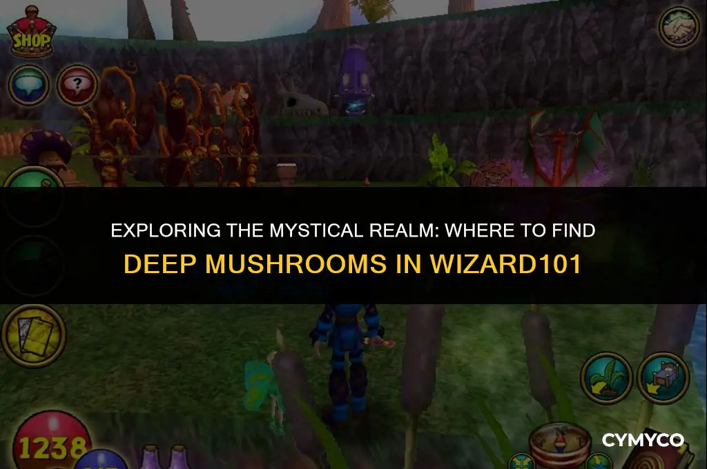 where to buy deep mushrooms in wizard101