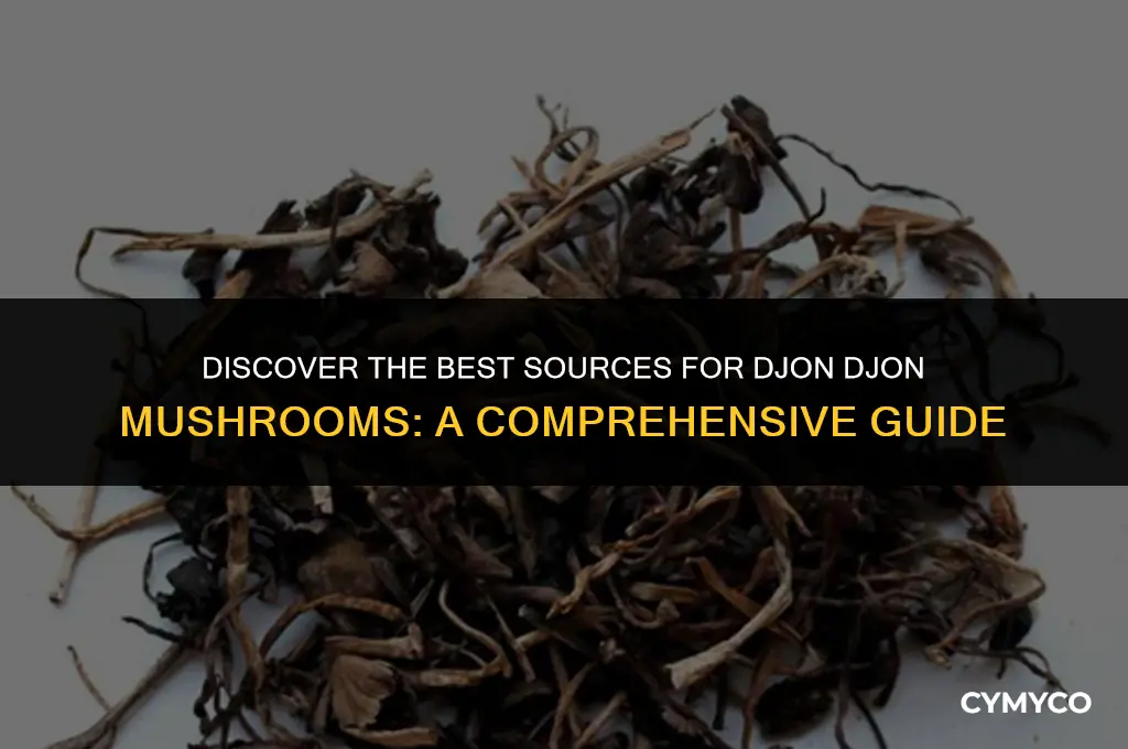 where to buy djon djon mushrooms