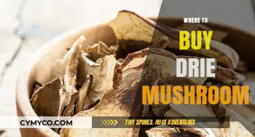 Exploring the Best Sources for Purchasing Dried Mushrooms Online
