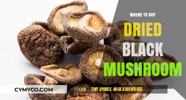 Discover the Best Sources for Dried Black Mushrooms Online