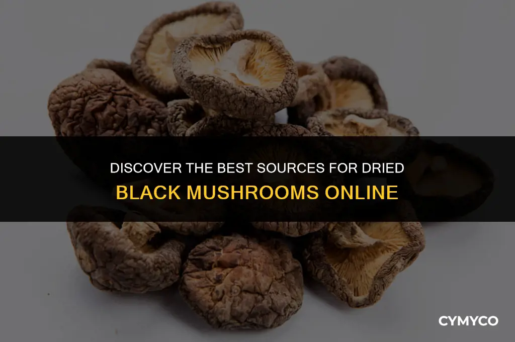 where to buy dried black mushrooms
