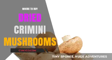 Discover the Best Sources for Dried Crimini Mushrooms Online