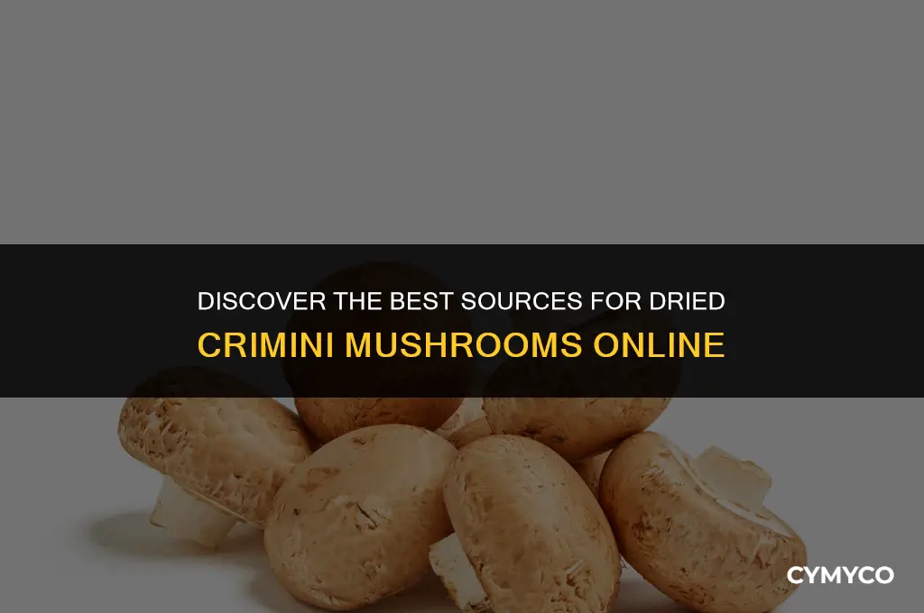 where to buy dried crimini mushrooms