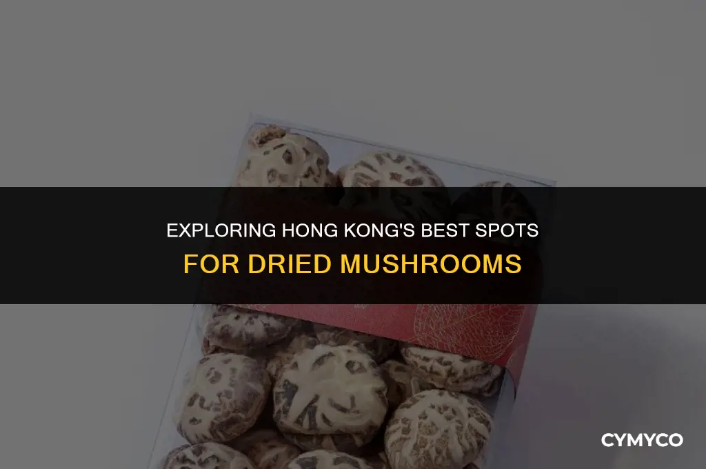 where to buy dried mushrooms in hong kong