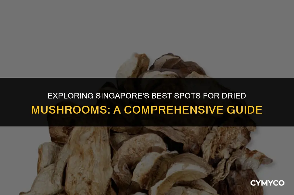 where to buy dried mushrooms in singapore