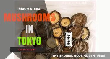 Discovering Tokyo's Best Spots for Dried Mushrooms: A Foodie's Guide