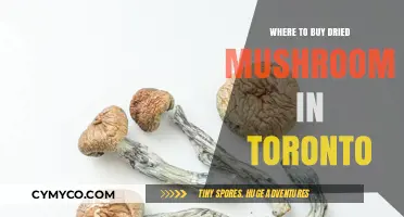 Exploring Toronto's Best Spots for Dried Mushrooms: A Comprehensive Guide