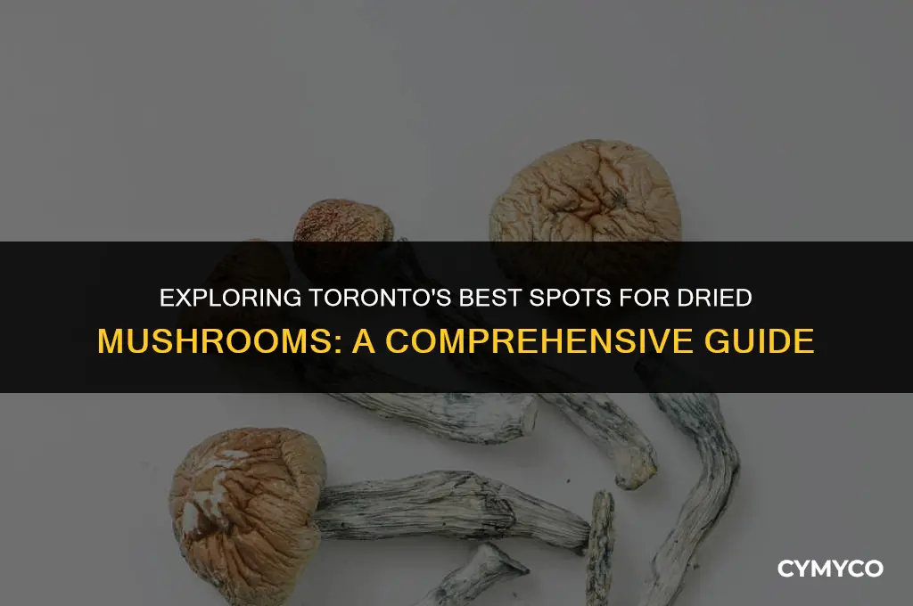 where to buy dried mushrooms in toronto