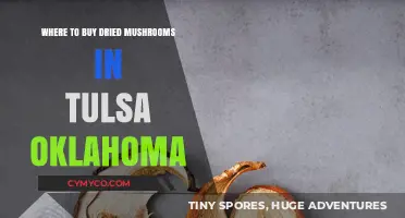 Exploring Tulsa's Best Spots for Dried Mushrooms: A Local's Guide