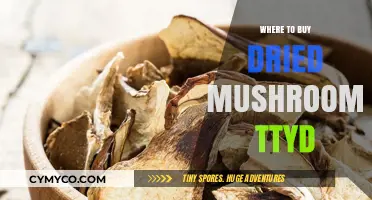 Exploring the Best Sources for Dried Mushrooms: A Comprehensive Guide