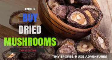 Discover the Best Places to Buy Dried Mushrooms Online & Locally