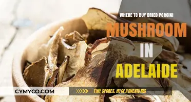 Adelaide's Best Spots for Dried Porcini Mushrooms: A Gourmet Guide