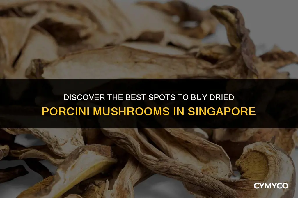 where to buy dried porcini mushrooms in singapore
