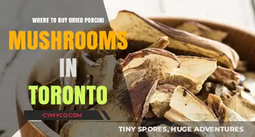 Exploring Toronto's Best Spots for Dried Porcini Mushrooms
