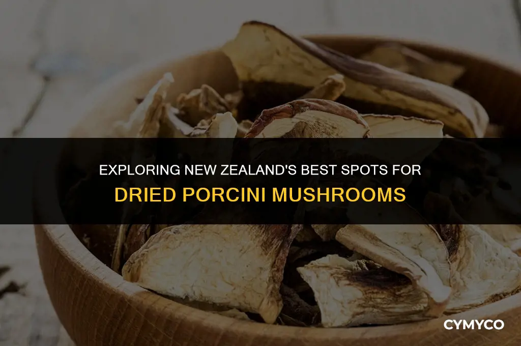 where to buy dried porcini mushrooms nz