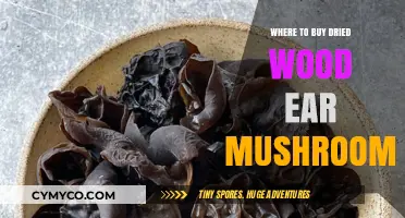 Discover the Best Sources for Dried Wood Ear Mushrooms Online