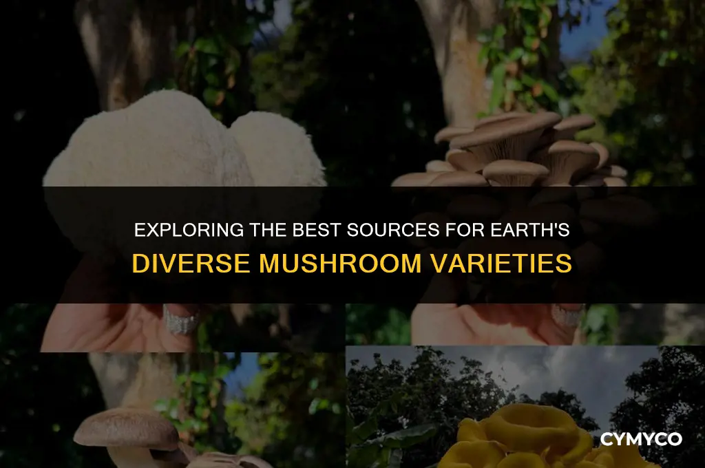 where to buy earth