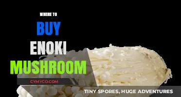 Discover the Best Places to Buy Fresh Enoki Mushrooms