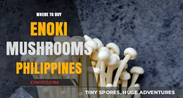Discover the Best Spots to Buy Enoki Mushrooms in the Philippines