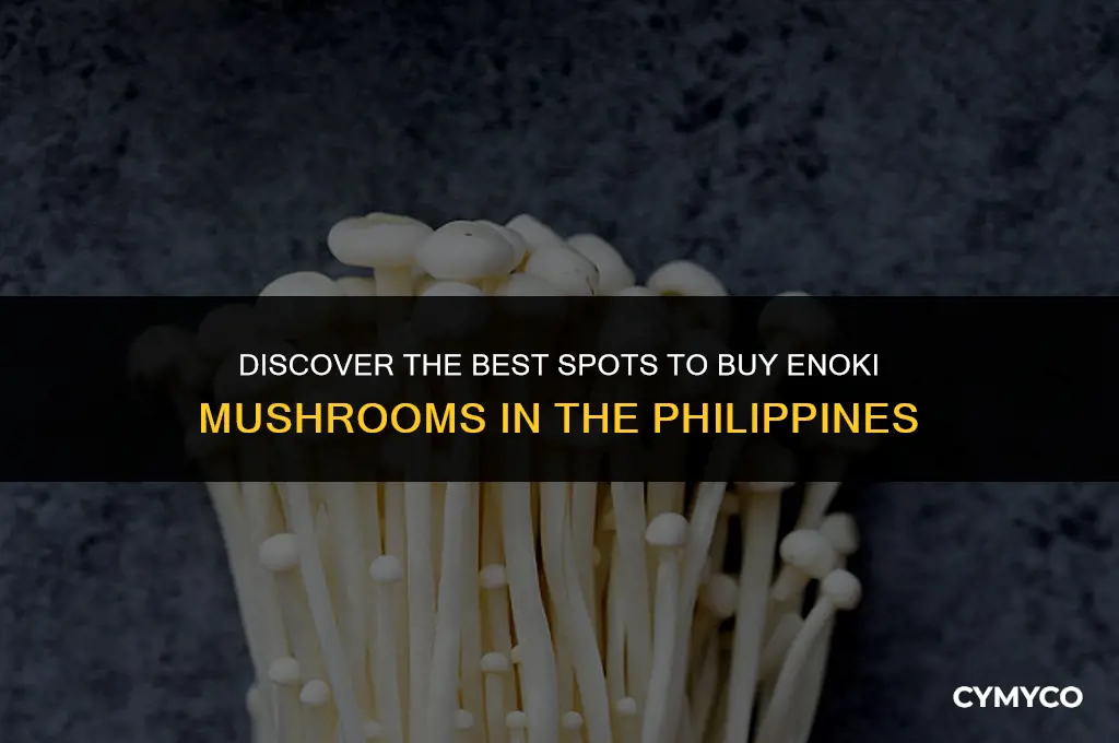 where to buy enoki mushrooms philippines