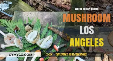 Exploring LA's Best Spots for Exotic Mushrooms: A Buyer's Guide