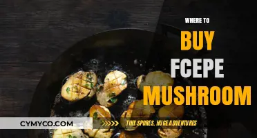 Exploring the Best Sources for Fresh FCEPE Mushrooms