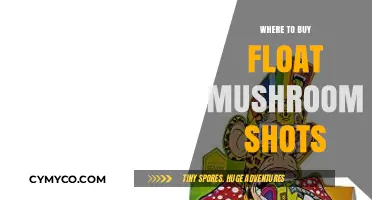 Exploring the Best Spots to Buy Float Mushroom Shots