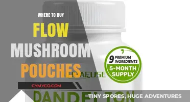 Exploring the Best Sources for Flow Mushroom Pouches: A Comprehensive Guide
