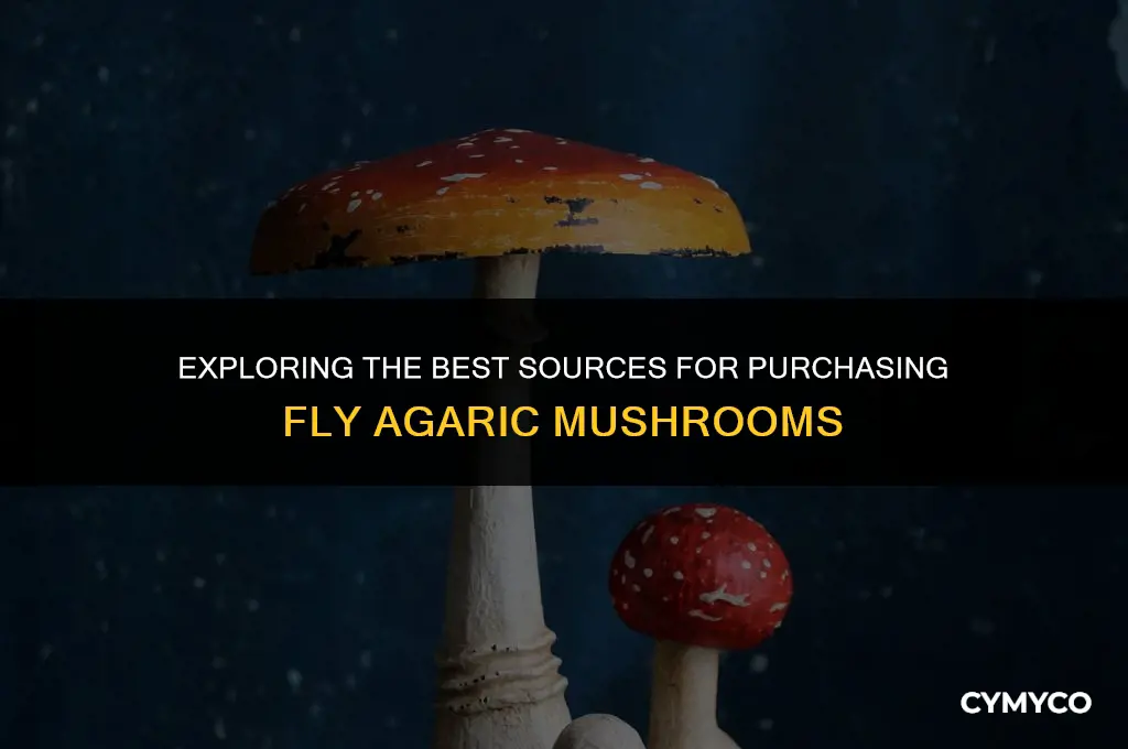 where to buy fly agaric mushroom
