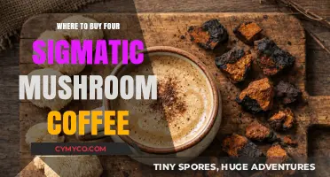 Exploring the Best Sources for Four Sigmatic Mushroom Coffee