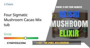 Where to Buy Four Sigmatic Reishi Mushroom Elixir: A Comprehensive Guide