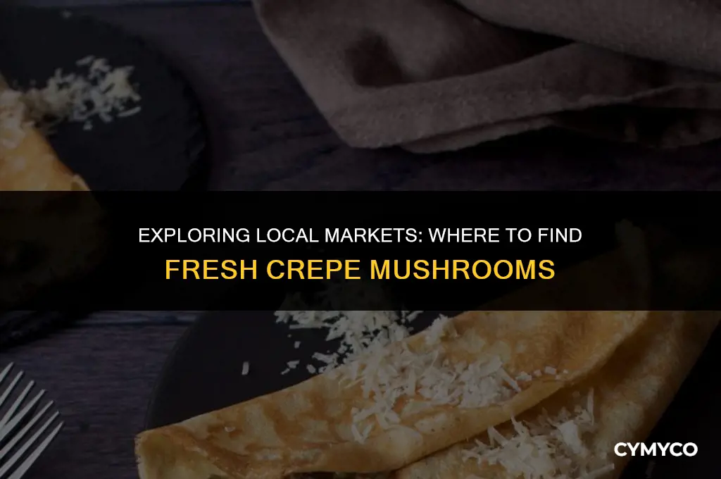 where to buy frcepe mushrooms