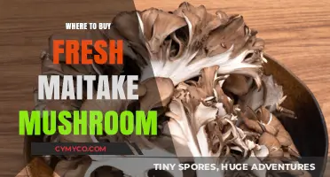 Discover the Best Spots to Buy Fresh Maitake Mushrooms Locally