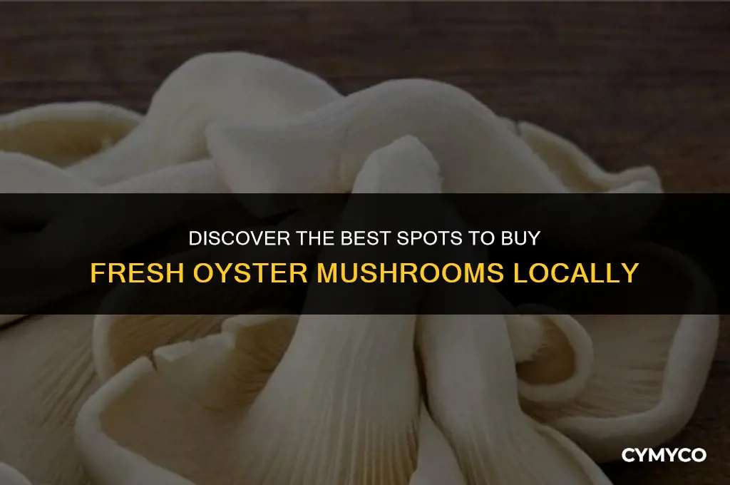 where to buy fresh oyster mushrooms