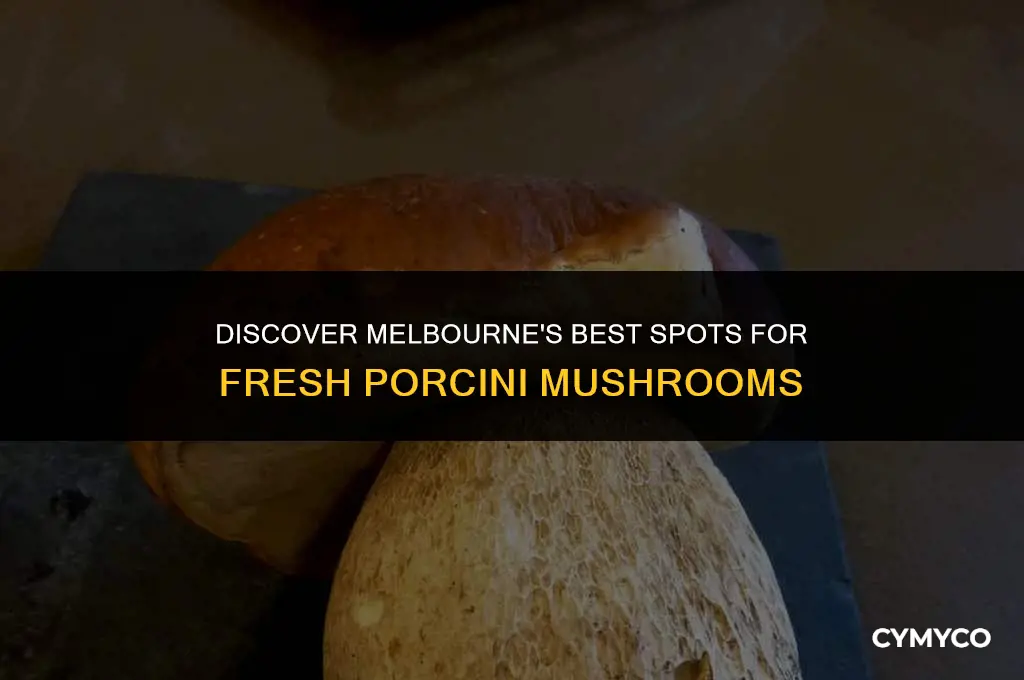 where to buy fresh porcini mushrooms in melbourne