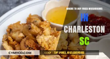 Savor the Flavor: Charleston's Best Spots for Fried Mushrooms