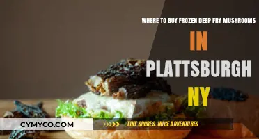Discover the Best Spots for Frozen Deep Fry Mushrooms in Plattsburgh, NY